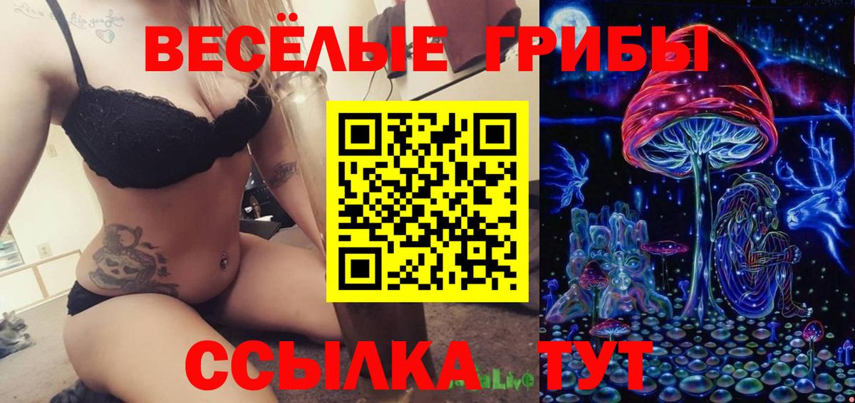Галлюциногенные грибы GOLDEN TEACHER Кемерово