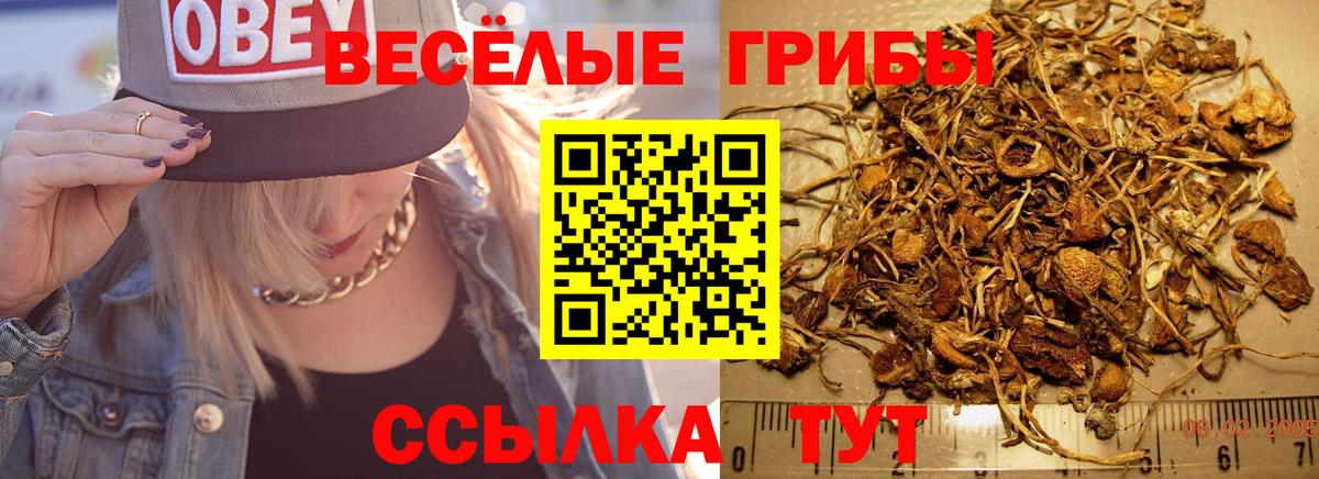 Галлюциногенные грибы MAGIC MUSHROOMS  Вход с VPN  Кемерово 